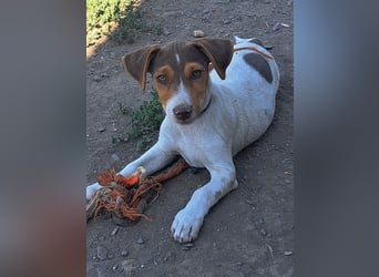 Kleiner Cooper (*05/2026) sucht seine Familie