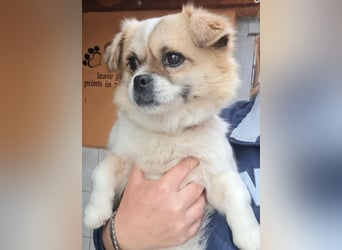 Kleine Coco sucht ihre Familie