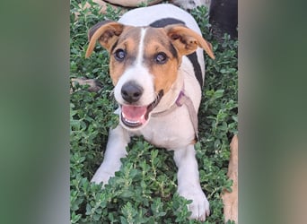 Kleiner Chester (*05/2026) sucht seine Familie