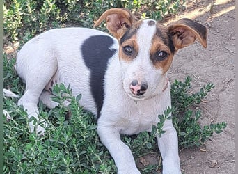 Kleine Carmen (*05/2026) sucht ihre Familie