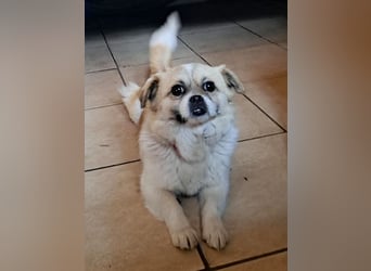 Kleine Coco sucht ihre Familie