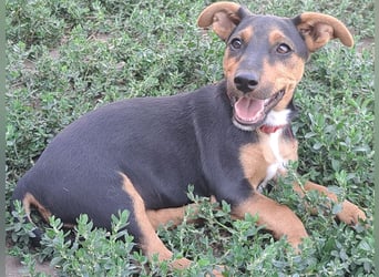 Kleine Cleo (*05/2026) sucht ihre Familie