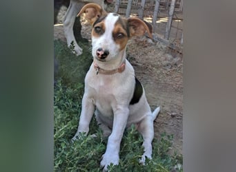 Kleine Carmen (*05/2026) sucht ihre Familie