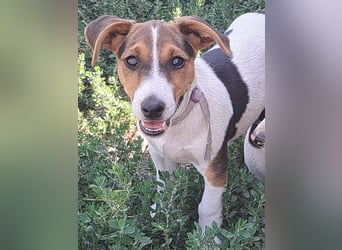 Kleiner Chester (*05/2026) sucht seine Familie