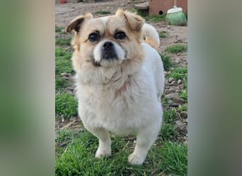 Kleine Coco sucht ihre Familie