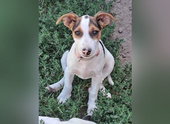 Kleine Carmen (*05/2026) sucht ihre Familie