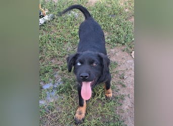 Kleiner Marco ( * 04/2026 ) sucht seine Familie
