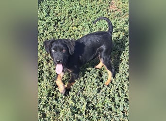 Kleiner Marco ( * 04/2026 ) sucht seine Familie