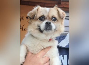 Kleine Coco sucht ihre Familie