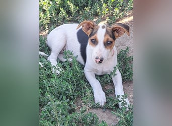 Kleine Carmen (*05/2026) sucht ihre Familie