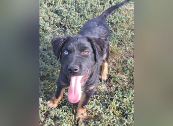 Kleiner Marco ( * 04/2026 ) sucht seine Familie