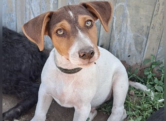 Kleiner Cooper (*05/2026) sucht seine Familie