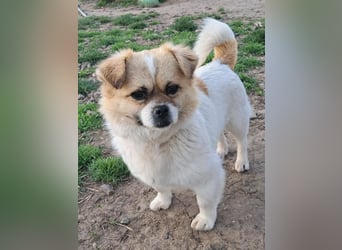 Kleine Coco sucht ihre Familie