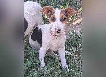 Kleine Carmen (*05/2026) sucht ihre Familie