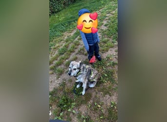 Haribo - sucht seinen Altersruhesitz