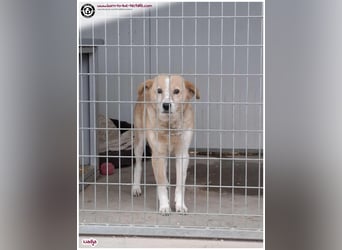 Süße Nadja auf der Suche nach einem liebevollen Zuhause