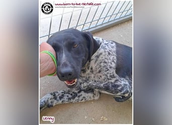 Handicap Fellnasse Lenny sucht ein Zuhause für immer