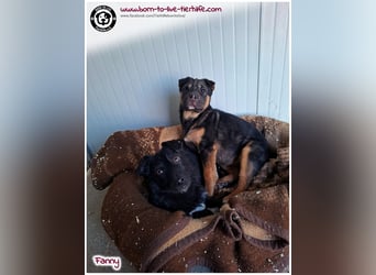 FANNY auf der Suche nach ihren Menschen