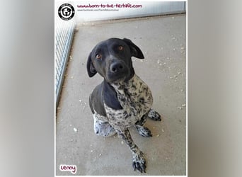 Handicap Fellnasse Lenny sucht ein Zuhause für immer