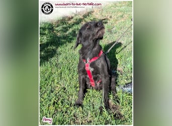 Bildhübsche Amy sucht ein Zuhause