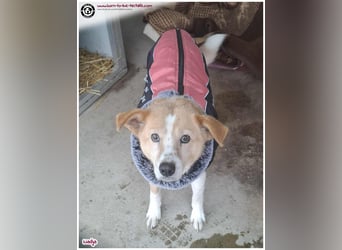 Bildhübsche Nadja sucht ein Zuhause für immer