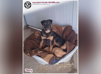 FANNY auf der Suche nach ihren Menschen