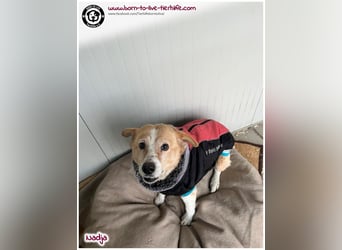 Süße Nadja auf der Suche nach einem liebevollen Zuhause
