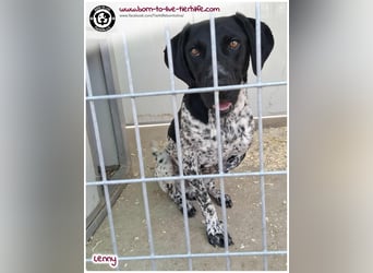 Handicap Fellnasse Lenny sucht ein Zuhause für immer