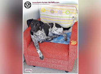 Handicap Fellnasse Lenny sucht ein Zuhause für immer