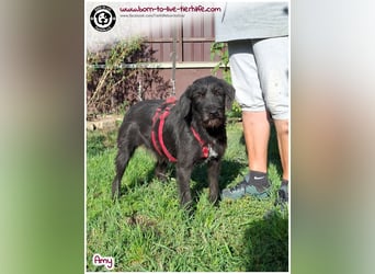 Bildhübsche Amy sucht ein Zuhause