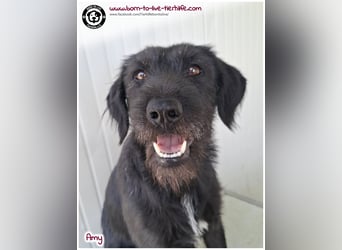 Bildhübsche Amy sucht ein Zuhause