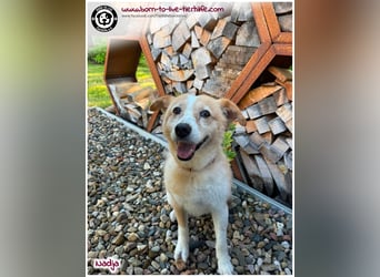 Süße Nadja auf der Suche nach einem liebevollen Zuhause