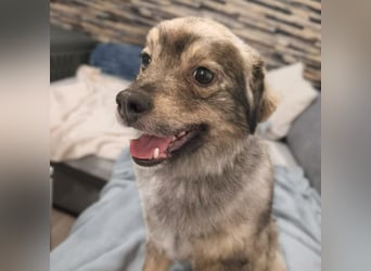 Kunibert- ist verunsichert