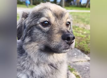 Kunibert- ist verunsichert