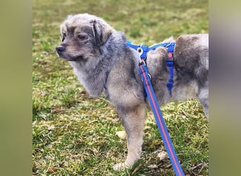 Kunibert- ist verunsichert