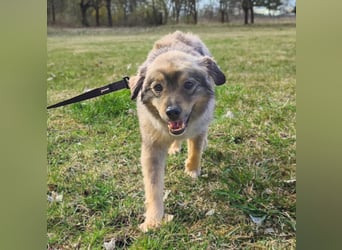 Kunibert- ist verunsichert