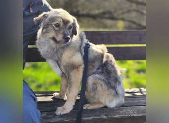 Kunibert- ist verunsichert