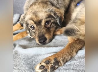 Kunibert- ist verunsichert