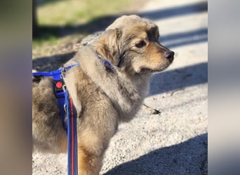 Kunibert- ist verunsichert