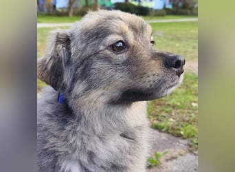 Kunibert- ist verunsichert