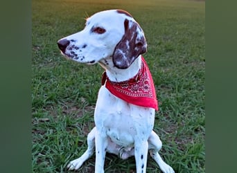 Emmi - ist leider unterfordert