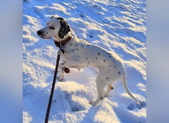 Emmi - ist leider unterfordert