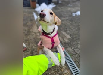 Lillifee - die Kämpferin