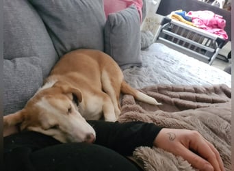 Lillifee - die Kämpferin