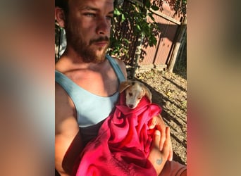 Lillifee - die Kämpferin