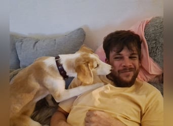 Lillifee - die Kämpferin