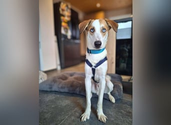 Khany - ist anhänglich&verschmust