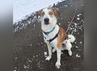 Khany - ist anhänglich&verschmust