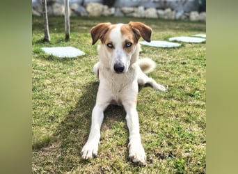 Khany - braucht Geduld&positive Bestärkung