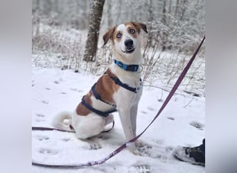 Khany - ist anhänglich&verschmust